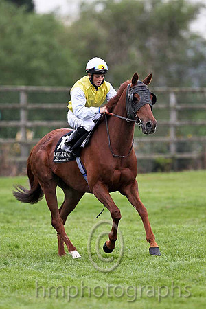 R6 - Its a Ruby 6th, Jockey B A Curtis - FT8E0534-e