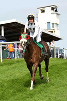 Casadei 5th, Jockey Andrew J McNamara- CU2D1738-e