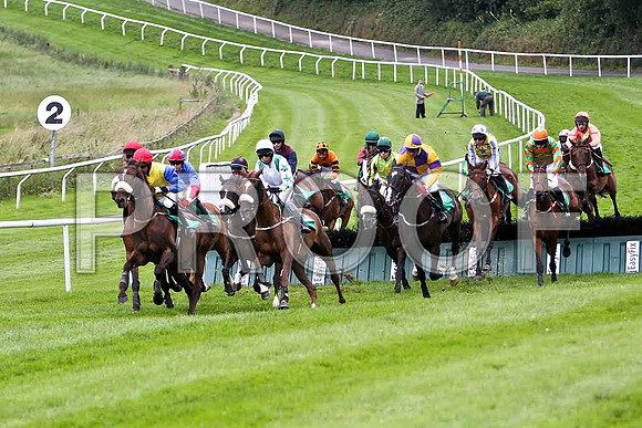 The first hurdle, High Talk in the lead, 5th, Jockey P D Kennedy - CU2D0915-e