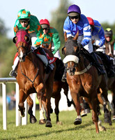 2010/06/18th Down Royal Race 4 at 7.20pm - The Down Royal Punters Pack Handicap Hurdle of 8,500 Euros