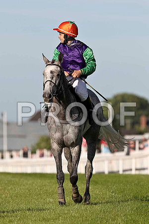 Derrinlanna PU, Jockey A P Crowe - FT8E1050-e