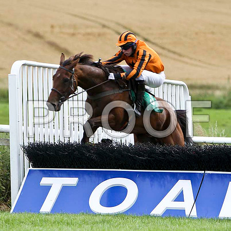 Upthecats - 5th, Jockey P D Kennedy   - FT8E3899-e
