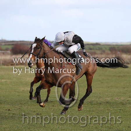 01 Ballyarthur  Derek O'Connor - Trainer : Colin S McKeever, Black and white qtrd