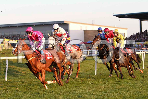 Cabra Cruizor, 13th Jockey Mr J T Carroll leads the group - FT8E7309-e2