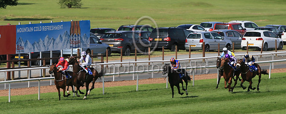 03rd Manu Et Corde (1 white, purple panel ) Jockey: Kevin Manning , Trainer: J S Bolger