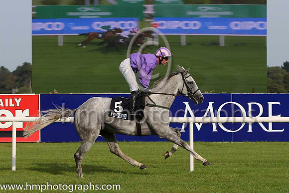 14 Erklong and J A Heffernan - - 14th (5 ,purple, pink and purple striped cap ) Trainer - A Mullins