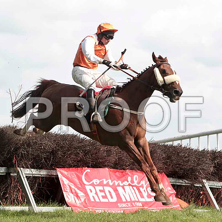 Bringbackthebeat , Winner, Jockey - J J Codd - CU2D4631-e