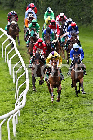 Banellie in the lead, finished 4th, Jockey M M O'Connor - FT8E1657-e
