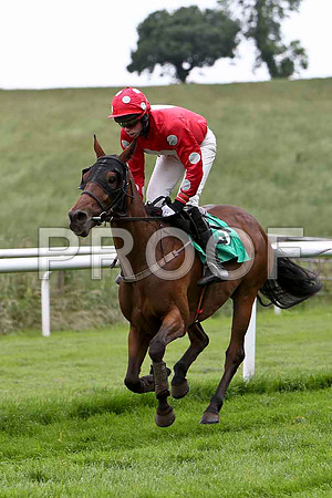 Home Island U, Jockey P D Kennedy- CU2D0795-e
