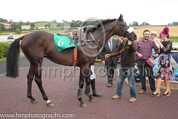 01st Odit and D E Mullins ( 6 , purple and emerald green check ) Trainer - Ms M Mullins , Owner - Liam Kerrigan