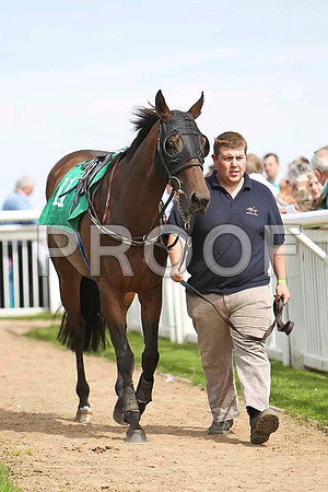 Idle Words 7th, Jockey M J Ferris - CU2D1625-e