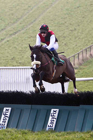 Garamor Boy - Winner, Jockey M P Burke - FT8E0413-e