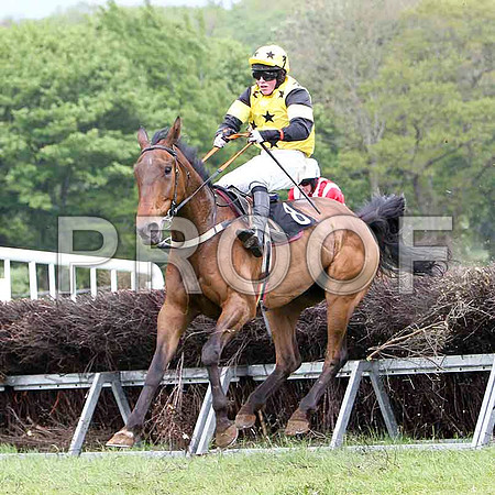 Kircassock Vic, 4th, Jockey D L Queally -FT8E2541-e