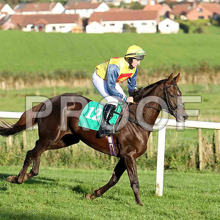 Maggie Sue , Jockey M J Bolger - 6th - CU2D9394-e