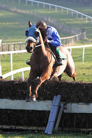 The Flying Dustman 9th, Jockey A P Heskin - FT8E0529-e