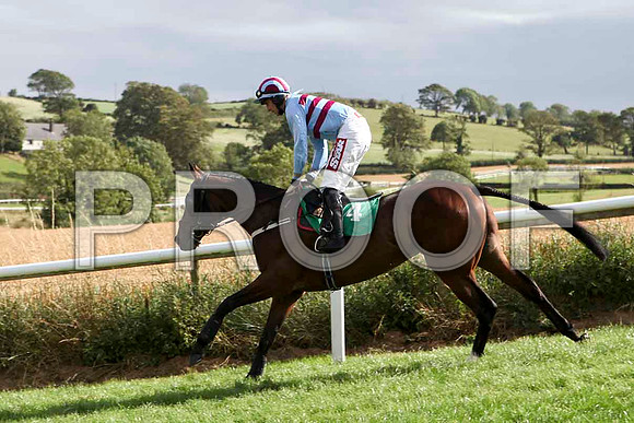 Ithinkbest - 12th, Jockey D N Russell -  - IMG_9415-e