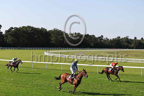 R6 at Ascot at Betfair Race weekend - IMG_0018-e