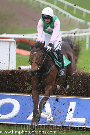 03 Local Celebrity and Mr P W Mullins - - 03rd (2 ,Green, pink diamond ) Trainer - W P Mullins