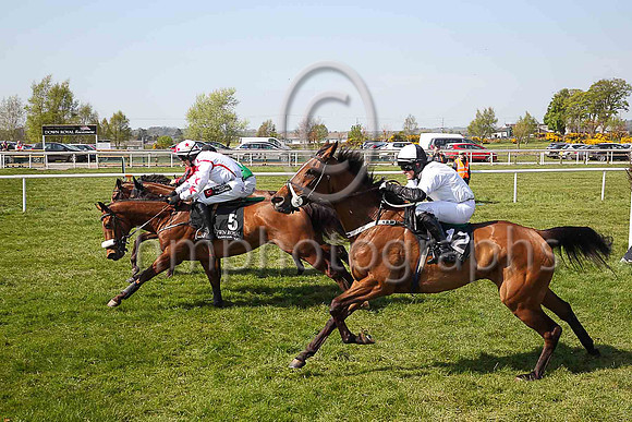 07th Galloping Anger and R P Treacy ( 12 , white, black panel ) Trainer - Matthew J Smith , Owner - Kevin John Smith