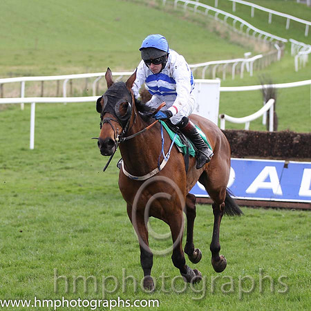 14 Ravensdale Lady & M P Butler - PU (14, white, blue chevrons )- FT8E4380-25