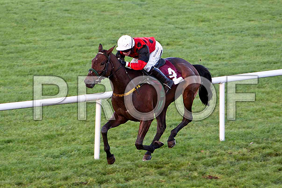 Dylan Ross - Winner - Jockey - Miss N Carberry  - CU2D0846-e