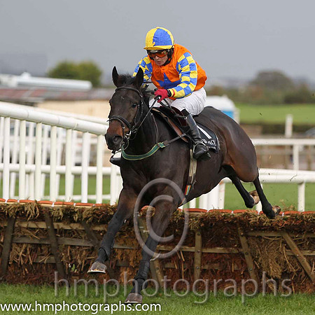 01 Gilt Shadow & Mr S Crawford - winner (1, orange, royal blue star)- FT8E0282-Edit-99