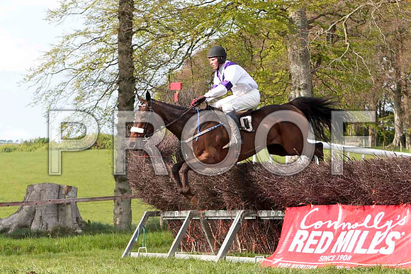 Clyde House , 8th, Jockey - P E Turley - CU2D4690-e