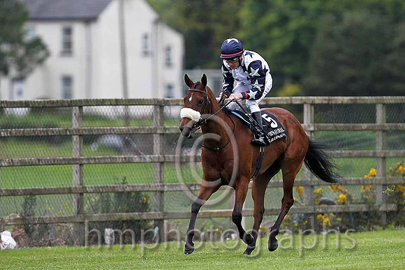 R5 - Mini Chou 4th, Jockey P J smullen -  - FT8E0528-e