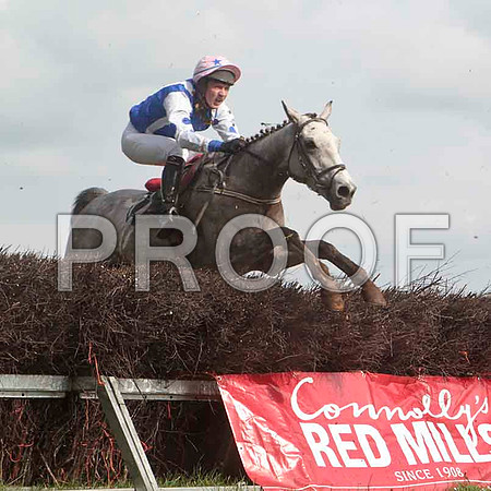 Jinxy Casey , 4th, Jockey - T A Dolan -CU2D4637-e