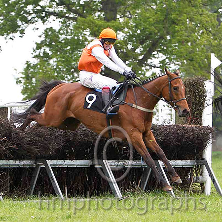 Glenariffe , 2nd, Jockey C Cully - FT8E2367-e