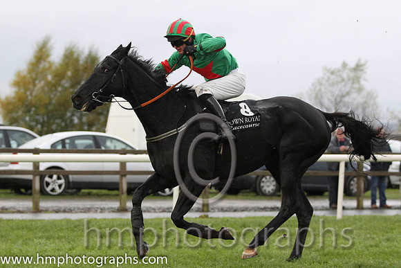 02 Kilcommon Pride & M Darcy - 2nd (8, emerald green , red star) - FT8E0471-27
