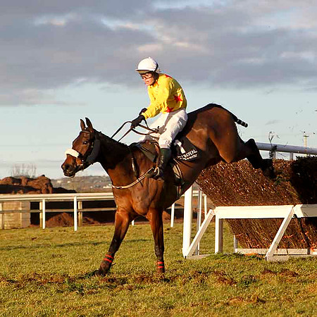 Hidden Crack (Yellow)  - Winner, Jockey S E Butler - CU2D3249-e2CU2D3264-e