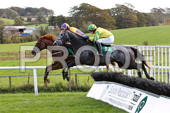 Sacre Malta , Jockey J L Cullen - 5th & Black Rock Lake , Jockey P Townend 2nd - CU2D9181-e