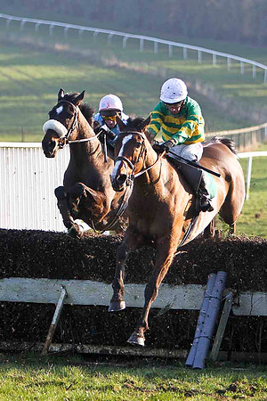 Inoma James (white noseband) , 8th Jockey C D Maxwell - & Flemensford 10th, Jockey N P Madden - FT8E0532-e