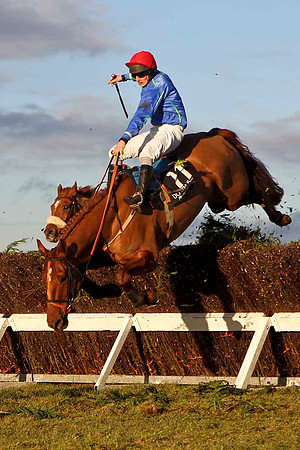 Rocklet (11) Fell - Jockey , M J Bolger - CU2D3276-e