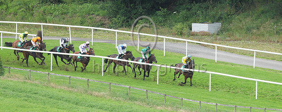 Down the Hill at Downpatrick Racecourse