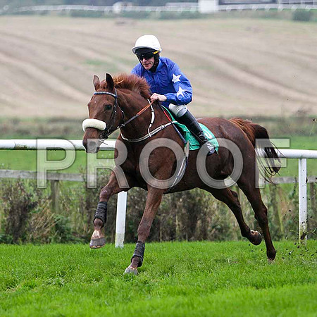Castle Ranger , Winner - Jockey Mr M J O'Connor - FT8E5287-e