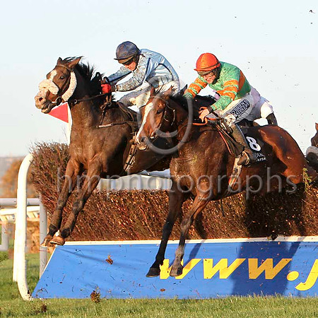 Jigalo 2nd, Banna Man 4th - FT8E6706-e