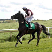 Wee Jerry , 10th, Jockey - R C Colgan - CU2D9220-e