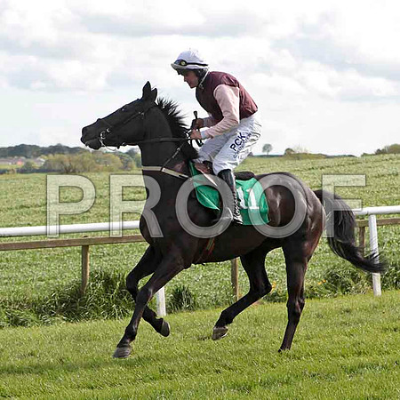 Wee Jerry , 10th, Jockey - R C Colgan - CU2D9220-e