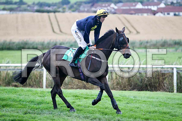 D's Trix - 7th , Jockey Andrew J McNamara - FT8E3940-e