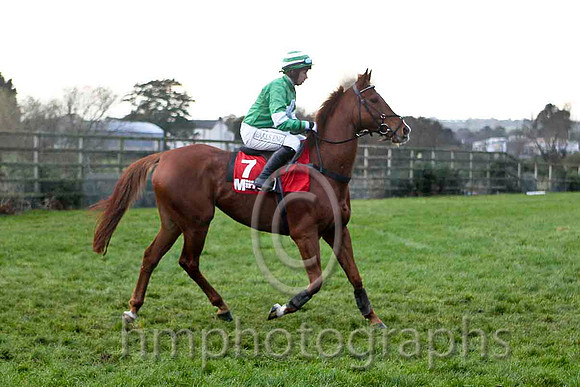 Thompson's Hill , Jockey Mr J P McKeown - 13th - FT8E4895-e