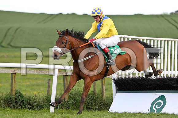 Ella Mia, 10th, Jockey J L Cullen - FT8E3060-e2