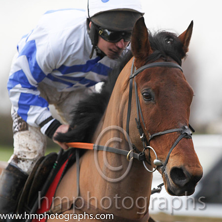 08 Shantou Shine & P T Enright - 8th (12, white and royal blue chevrons) - FT8E2983-3