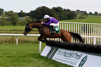 Flemenco Prince 4th , Jockey M W Bowes - FT8E3008-e