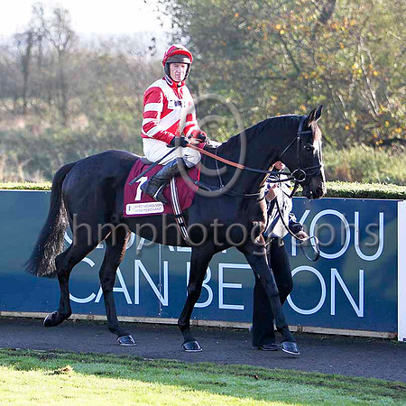 The Nightingdale , 3rd - Jockey P Carberry - FT8E6973-e