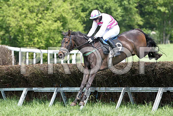 First Race - On the Arthur (9) 2nd, rider BG Crawford - CU2D9536-e