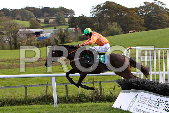 Ziyari , Jockey M Darcy - 6th - CU2D9183-e