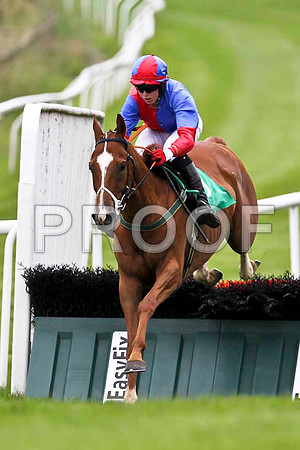 McSwynes Bay winner, Jockey K M Donoghue - FT8E1758-e2