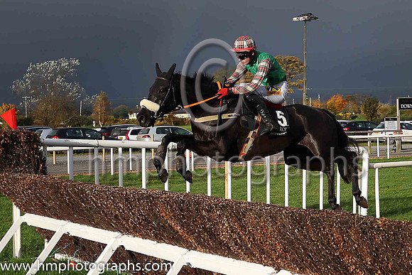 03rd Round Tower and D Meyler ( 5 , light green, dark blue diagonal stripes ) Trainer - K Thornton , Owner - James Francis Brennan